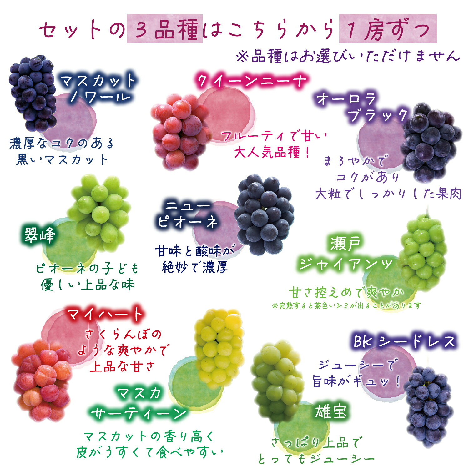 【2026年先行予約】岡山県産種無しぶどうの詰め合わせ 2kg4種セット 2kg 4房 | ぶどう 葡萄 果物 岡山県産 送料無料 ギフト 種なし 葡萄 ぶどう 産地直送 農家直送 数量限定 ぶどう 詰合せ