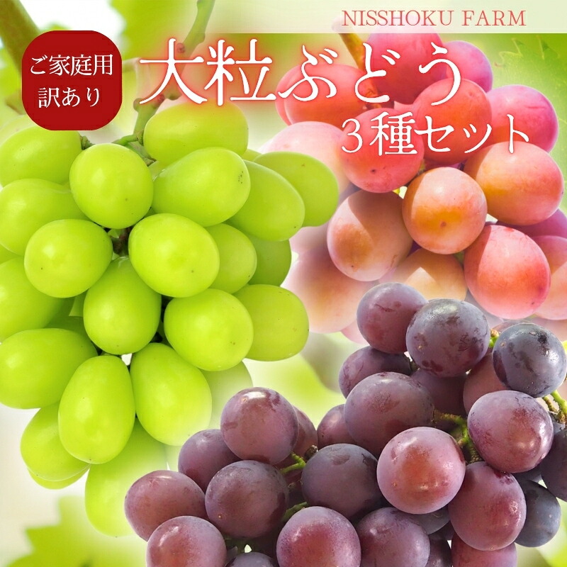 ぶどう【2026年先行予約】<減農薬栽培>種無し大粒ぶどう食べ比べ3種セット 約1.8kg 家庭用 葡萄 ぶどう シャインマスカット ピオーネ クイーンニーナ オーロラブラック 翠峰 果物 くだもの