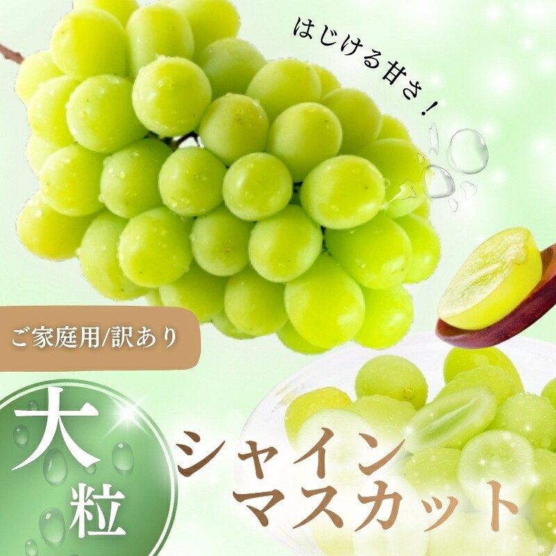 シャインマスカット【2026年先行予約】減農薬栽培 約1.8kg 2～4房 訳あり ぶどう シャインマスカット マスカット しゃいんますかっと 葡萄 産地直送 大粒 種なし 皮ごと 岡山 真庭市