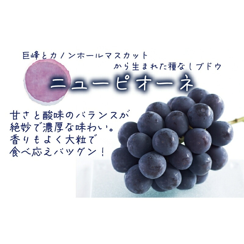 【2026年先行予約】花笑み農園 岡山の『ピオーネ&ラムピオーネジャム&飲む酢』 【hana071-02】