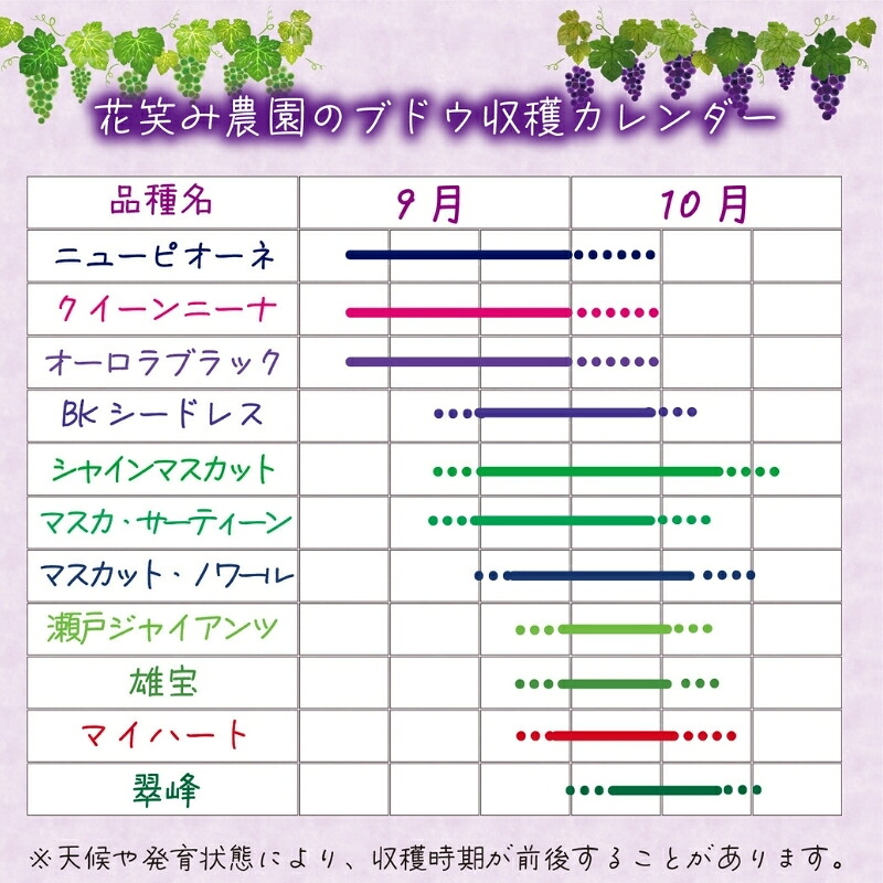 【2026年先行予約】花笑み農園　岡山『ぶどうの宝石箱』３種以上（36粒入り） 【hana051-02】