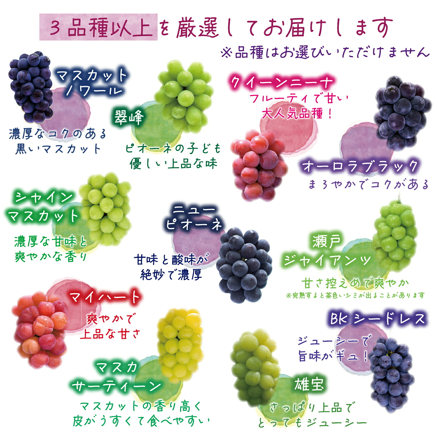 【2026年先行予約】花笑み農園　岡山『ぶどうの宝石箱』３種以上（18粒入り） 【hana050-02】