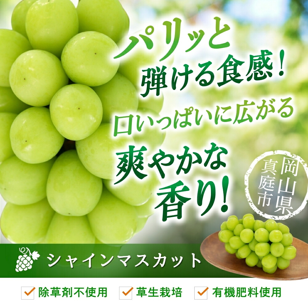 【2026年先行予約】 ぶどう 岡山 花笑み農園『シャインマスカット』 家庭用 約2kg(3~5房)| シャインマスカット 果物 フルーツ マスカット ますかっと フルーツ くだもの 【hana061-02】