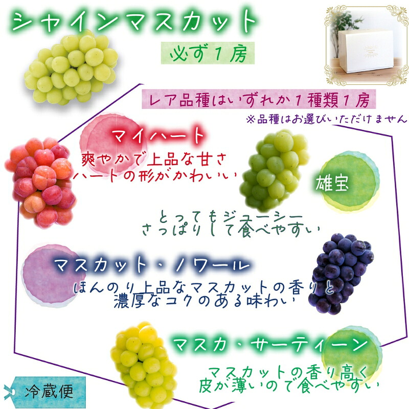 【2027年先行予約】シャインの親子ぶどう詰め合わせ 種無し2種セット 2房 ぶどう 詰合せ シャインマスカット マスカサーティーン マスカットノワール 雄宝 マイハート 葡萄 【hana065-03】