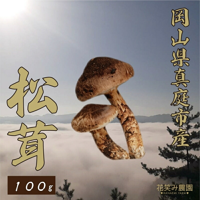 【2026年先行予約】花笑み農園 岡山の『松茸』100g 【hana077-02】