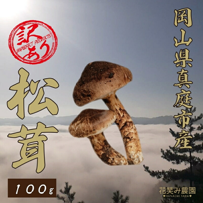 【2026年先行予約】花笑み農園　岡山の訳あり『松茸』100g 【hana078-02】