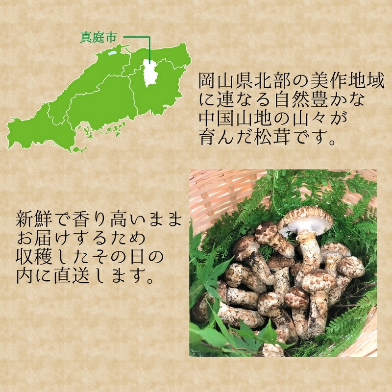 【2026年先行予約】花笑み農園　岡山の訳あり『松茸』100g 【hana078-02】