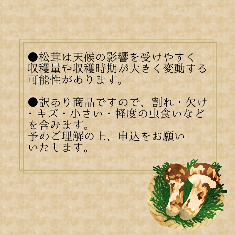 【2026年先行予約】花笑み農園　岡山の訳あり『松茸』100g 【hana078-02】