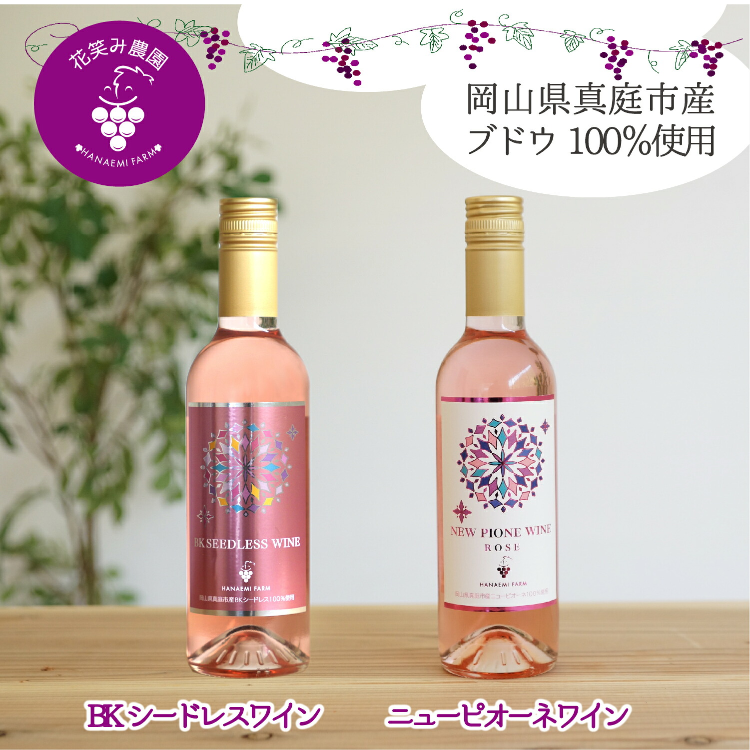 花笑み農園のワイン2本セット『ピオーネワイン＆BKシードレスワイン』WpWbワイン 【hana090-02】