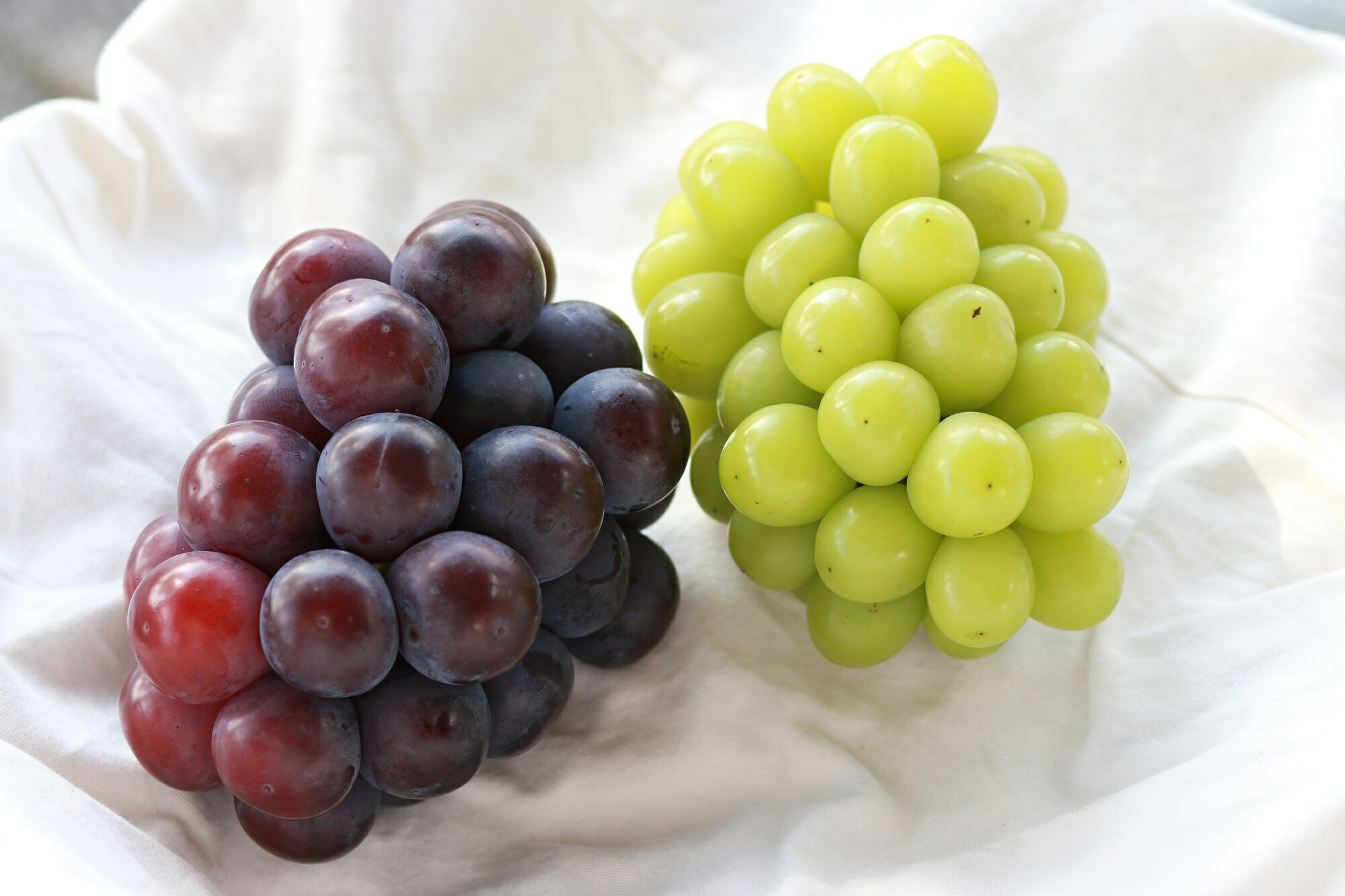 【2026年先行予約】【訳あり】NISSHOKU FARM ご家庭用ぶどう2種セット 2房 約1.0kg | ぶどう 葡萄 果物 岡山県産 送料無料 ギフト 種なし スイーツ 葡萄 ぶどう 産地直送