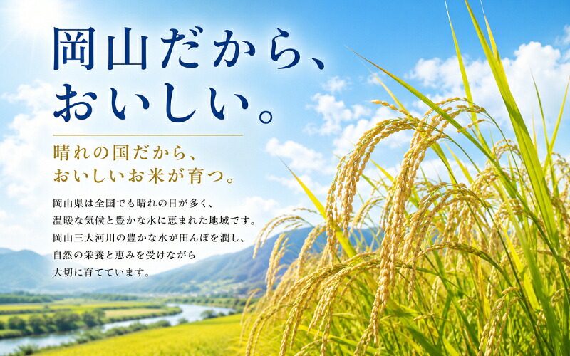 【先行予約】 令和8年産 岡山県産 こしひかり 単一原料 5kg / お米 国産 岡山県 米 人気  【zprc001-01】