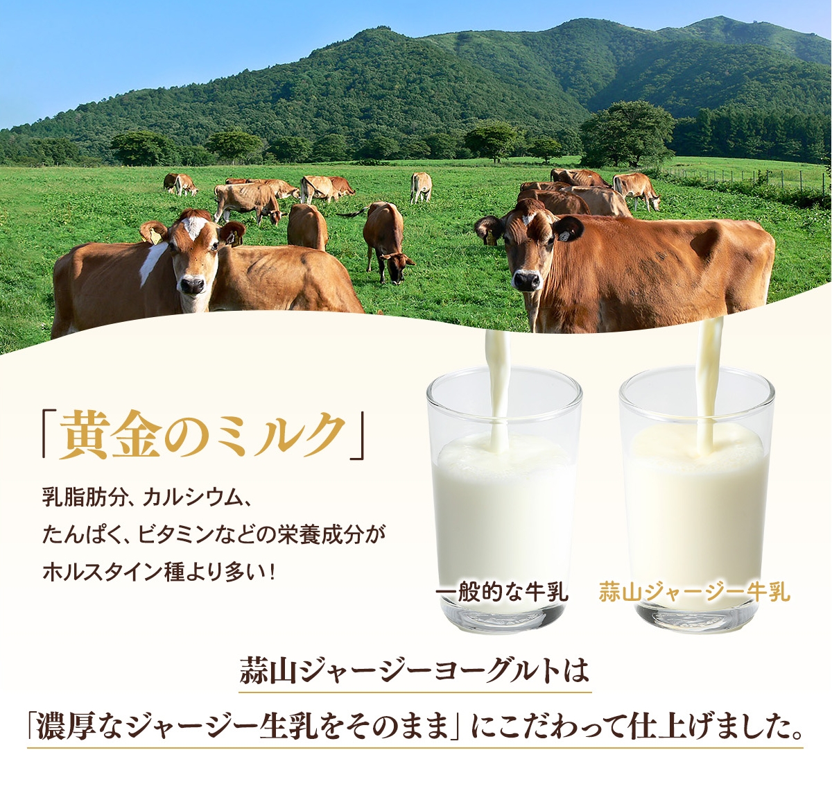 金賞受賞 ひるぜんジャージーヨーグルト 冷蔵便 / 蒜山 スイーツ デザート プレゼント 贈答 【hiru001-01】