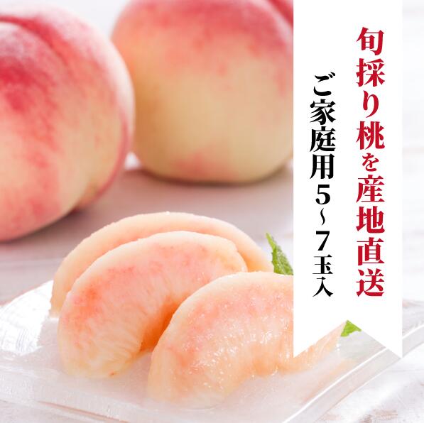 【2026年先行予約】旬採り桃(品種おまかせ)ご家庭用 5～7玉 岡山産｜桃 もも 果物 くだもの フルーツ