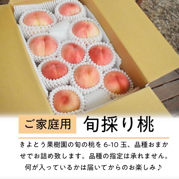 旬採り桃(品種おまかせ) ご家庭用 6-10玉 (岡山県産) ｜ 岡山県 フルーツ もも 桃 モモ 人気 桃 もも 新鮮 旬 真庭市 果物 フルーツ もも 桃 ピーチ 贈答 ギフト 家庭用 期間限定