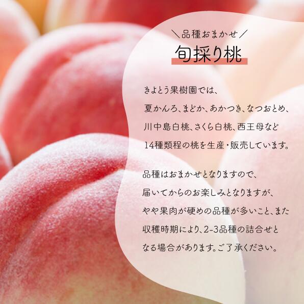 旬採り桃(品種おまかせ) ご家庭用 6-10玉 (岡山県産) ｜ 岡山県 フルーツ もも 桃 モモ 人気 桃 もも 新鮮 旬 真庭市 果物 フルーツ もも 桃 ピーチ 贈答 ギフト 家庭用 期間限定