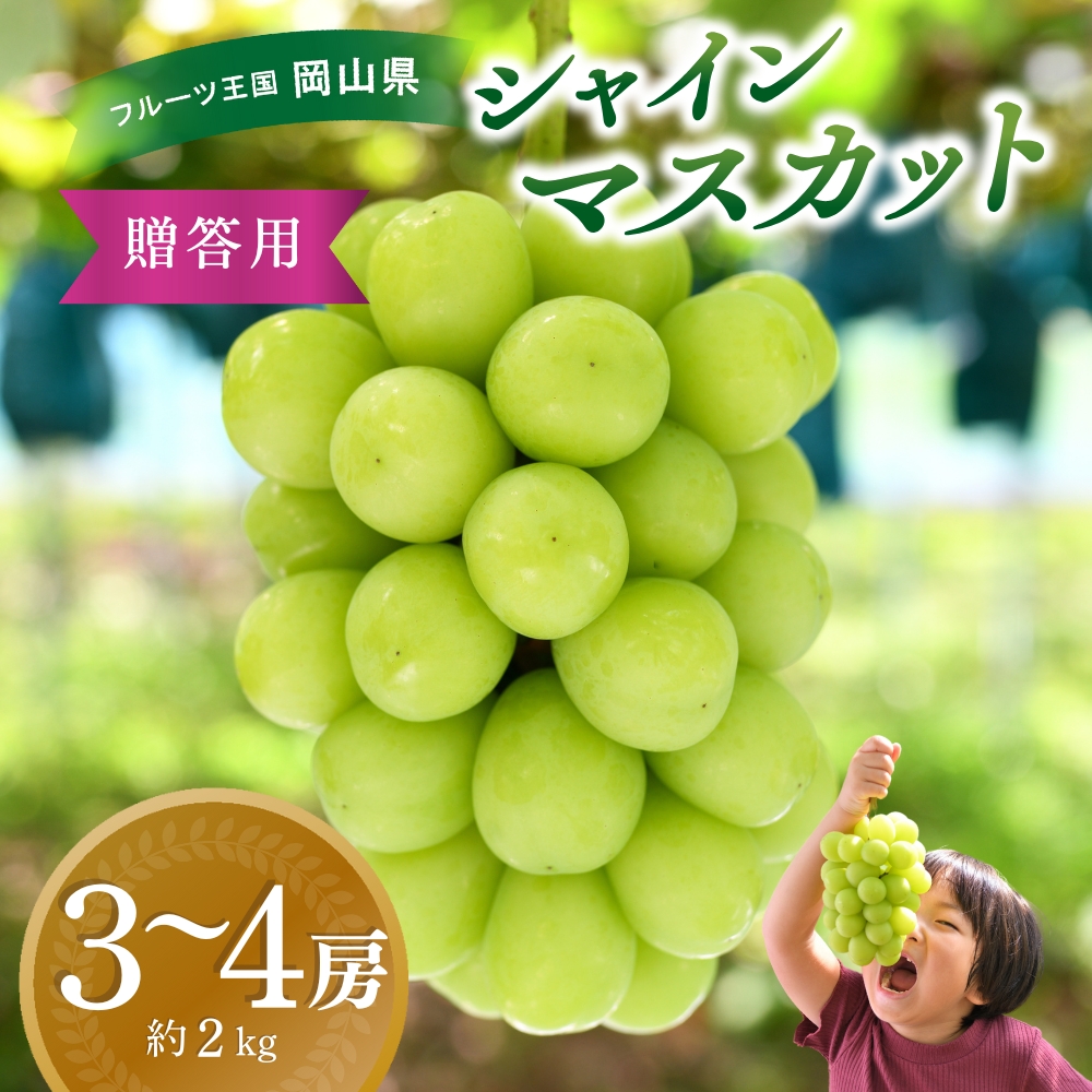 【2026年先行予約】ぶどう シャインマスカット 約2kg (3〜4房) S-2 hana16 【2026年 先行予約 9月下旬〜順次発送予定】 種なし ぶどう 【hana016-02】