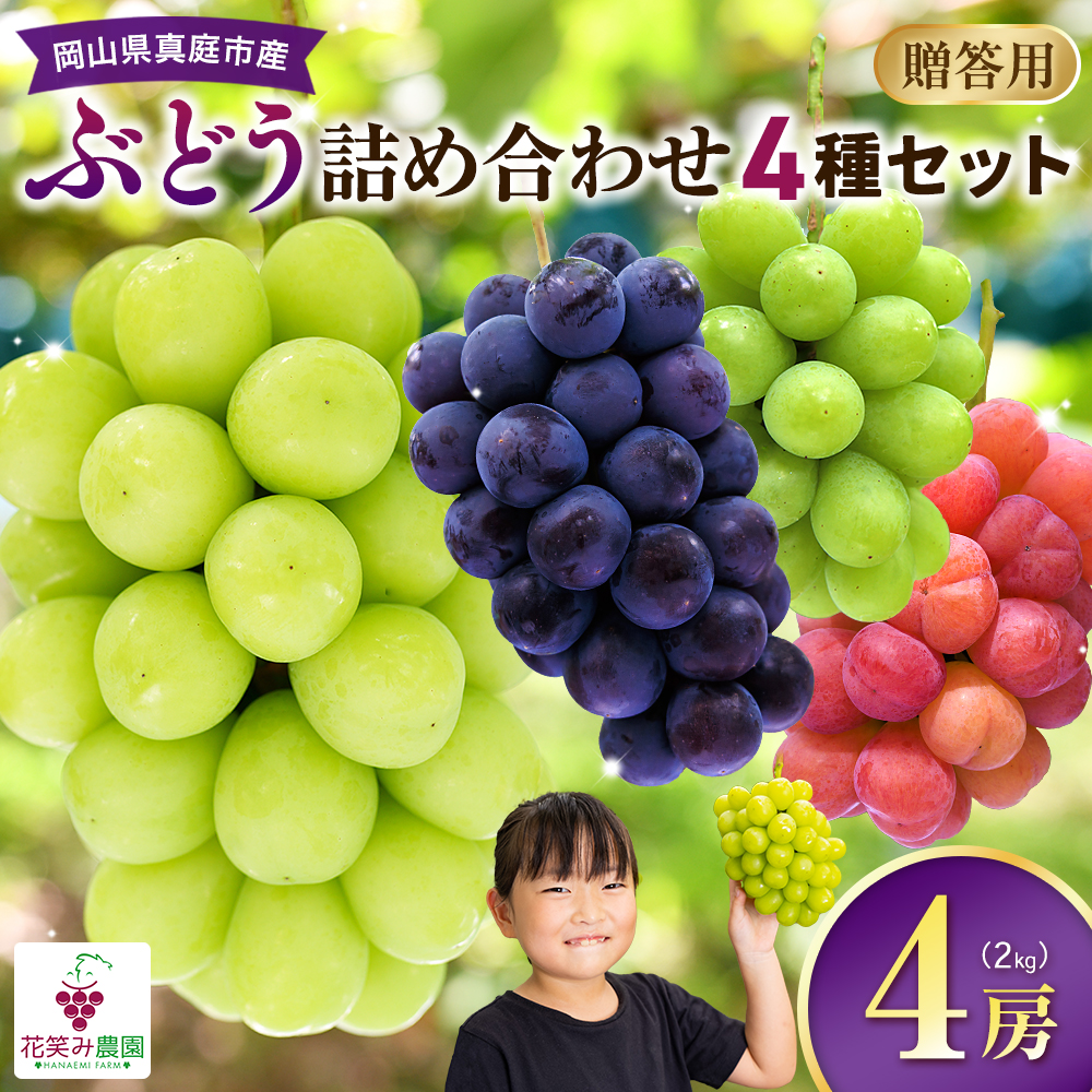 【2026年先行予約】岡山県産種無しぶどうの詰め合わせ ４種セット 2kg 4房 ｜ ぶどう 葡萄 果物 岡山県産 送料無料 ギフト 種なし 葡萄 ぶどう 産地直送 農家直送 数量限定 ぶどう 詰合せ 【hana019-02】