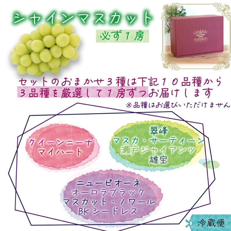 【2026年先行予約】岡山県産種無しぶどうの詰め合わせ ４種セット 2kg 4房 ｜ ぶどう 葡萄 果物 岡山県産 送料無料 ギフト 種なし 葡萄 ぶどう 産地直送 農家直送 数量限定 ぶどう 詰合せ 【hana019-02】