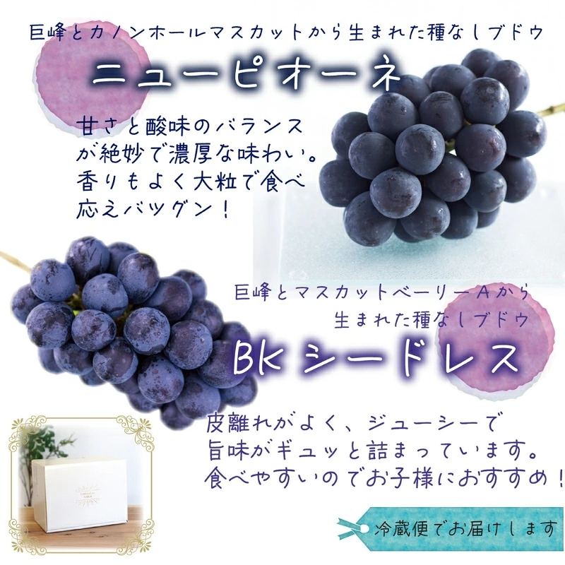 ぶどう【2026年先行予約】＜除草剤不使用＞ぶどう 食べ比べ 2種セット 1kg 2房 ニューピオーネ BKシードレス ｜ ぶどう 葡萄 果物 岡山県産 送料無料 種なし 【hana026-02】