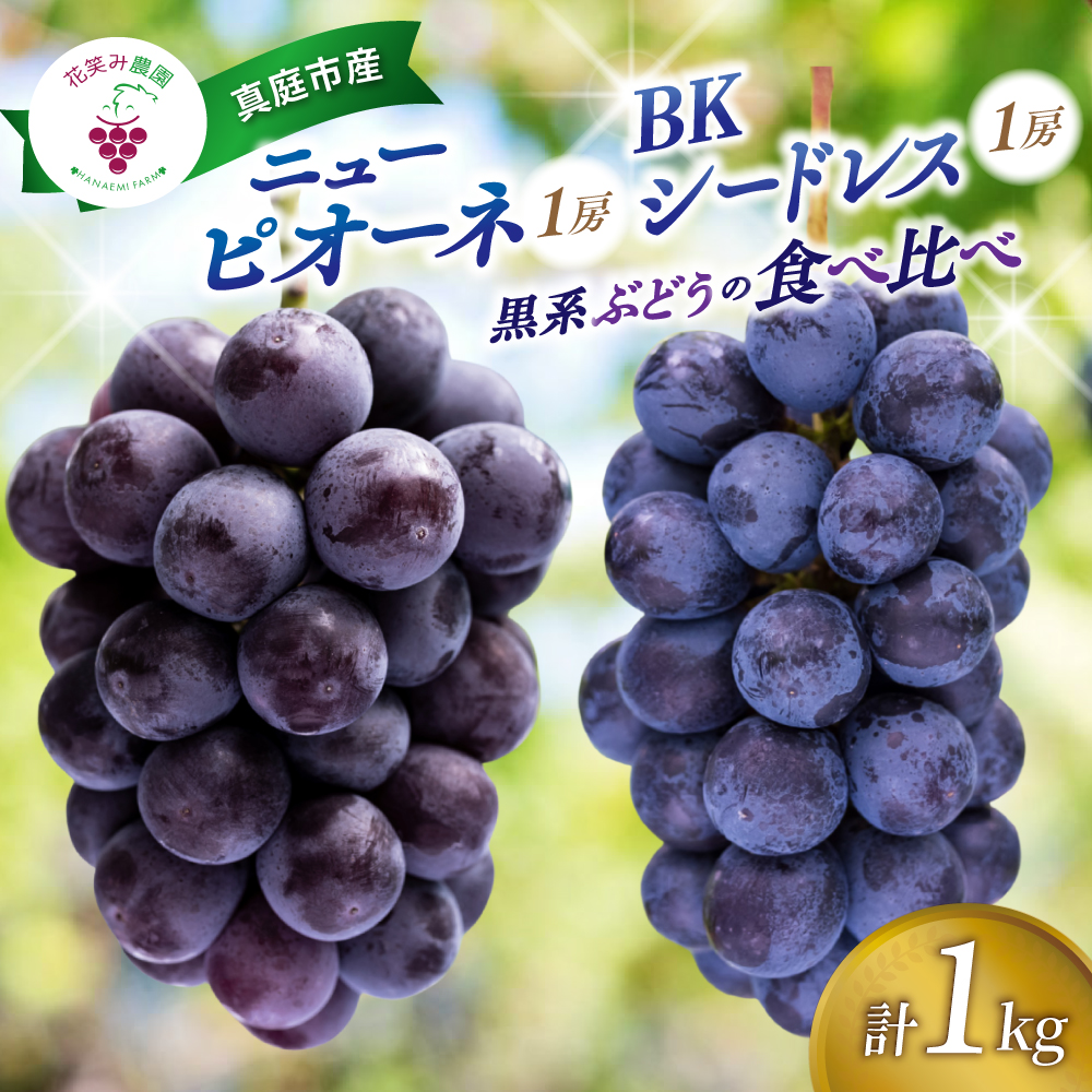 ぶどう【2026年先行予約】＜除草剤不使用＞ぶどう 食べ比べ 2種セット 1kg 2房 ニューピオーネ BKシードレス ｜ ぶどう 葡萄 果物 岡山県産 送料無料 種なし 【hana026-02】