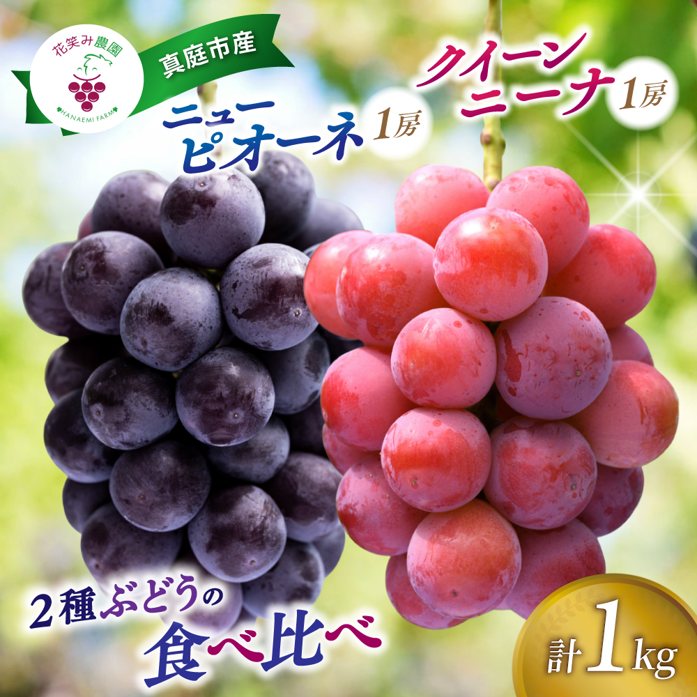 ぶどう【2026年先行予約】＜除草剤不使用＞ぶどう 食べ比べ 2種セット 1kg 2房 ニューピオーネ クイーンニーナ ｜ ぶどう 葡萄 果物 岡山県産 送料無料 種なし 【hana031-02】