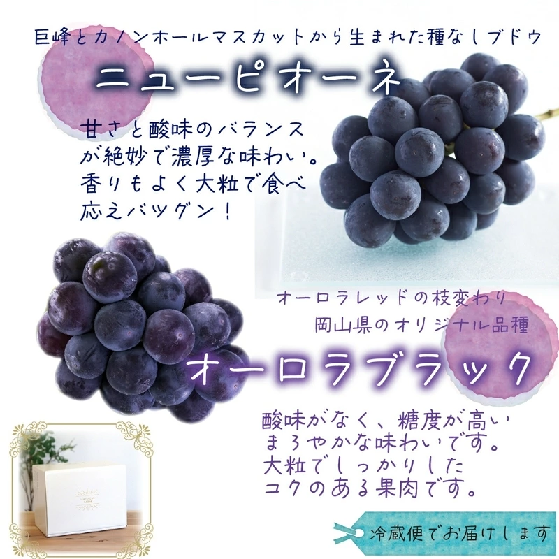 ぶどう【2026年先行予約】<除草剤不使用>ぶどう 食べ比べ 2種セット 1kg 2房 ニューピオーネ オーロラブラック | ぶどう 葡萄 果物 岡山県産 送料無料 種なし 【hana032-02】