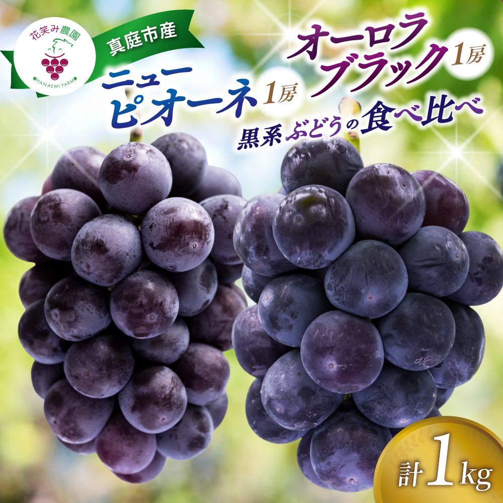 ぶどう【2026年先行予約】<除草剤不使用>ぶどう 食べ比べ 2種セット 1kg 2房 ニューピオーネ オーロラブラック | ぶどう 葡萄 果物 岡山県産 送料無料 種なし 【hana032-02】