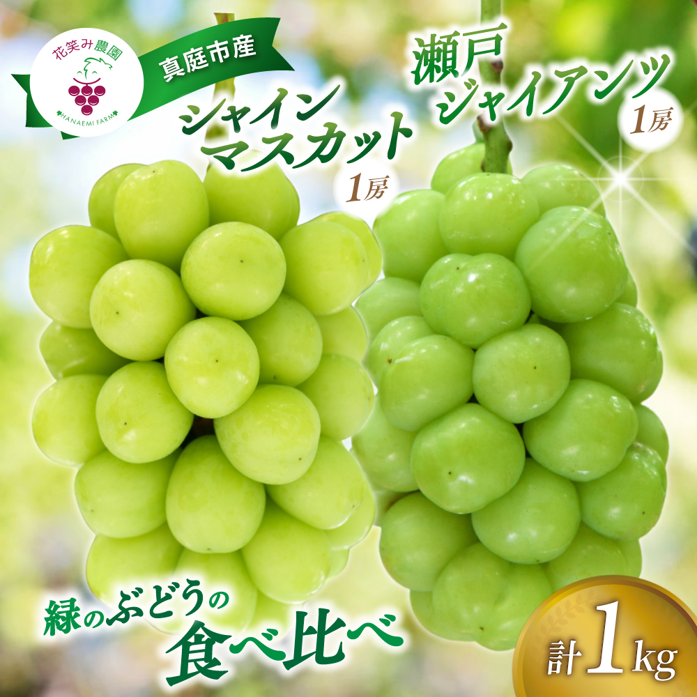 ぶどう【2026年先行予約】<除草剤不使用>ぶどう 食べ比べ 2種セット 1kg 2房 シャインマスカット 瀬戸ジャイアンツ | ぶどう 葡萄 果物 岡山県産 送料無料 種なし 【hana046-02】
