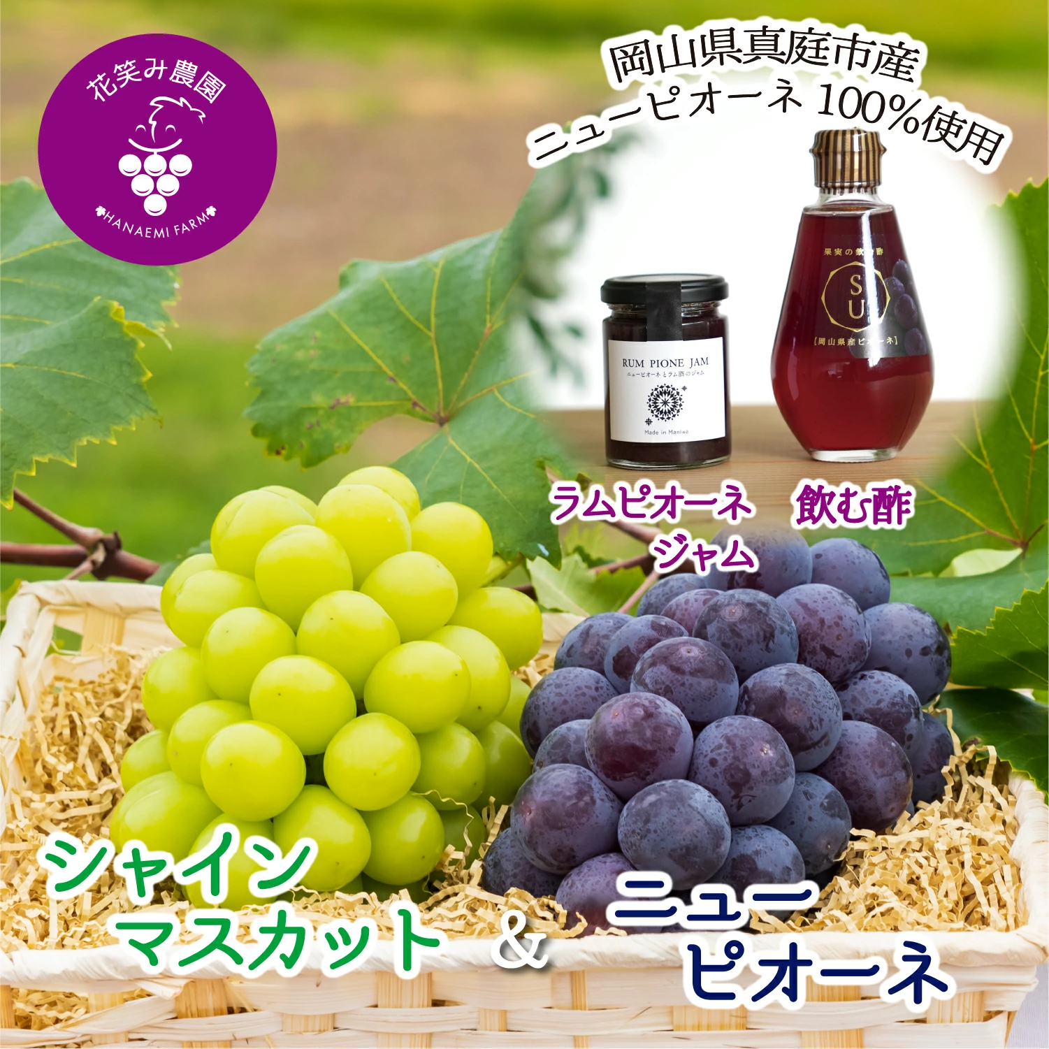 ぶどう ニューピオーネ & シャインマスカット & ラムピオーネジャム & 飲む酢 【2026年先行予約 9月下旬〜順次発送】 ぶどう ブドウ 葡萄 送料無料| ぶどう 葡萄 果物 岡山県産 送料無料 種なし 【hana070-02】