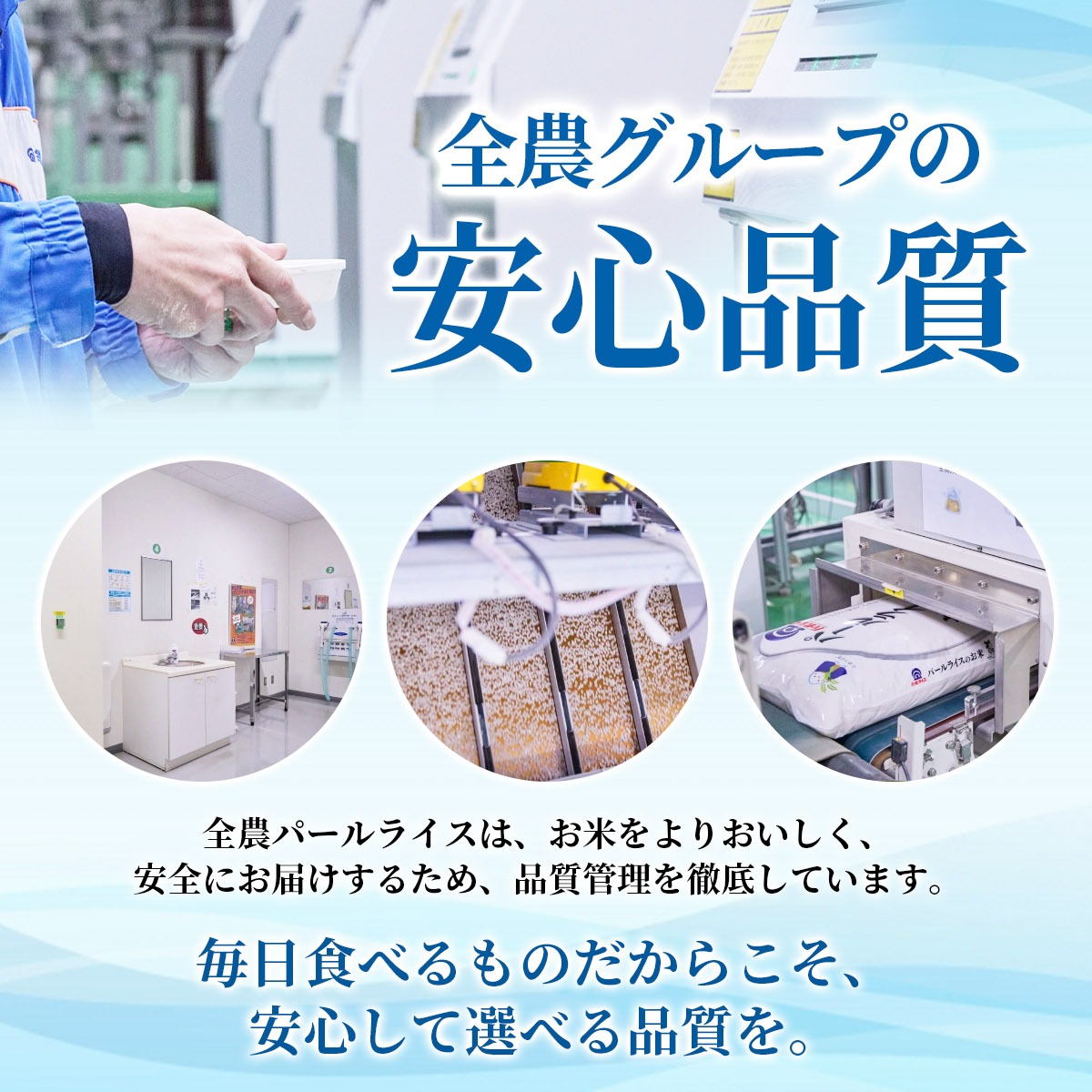 【先行予約】 令和8年産 岡山県産 こしひかり 単一原料 10kg / お米 国産 岡山県 米 人気  【zprc002-01】