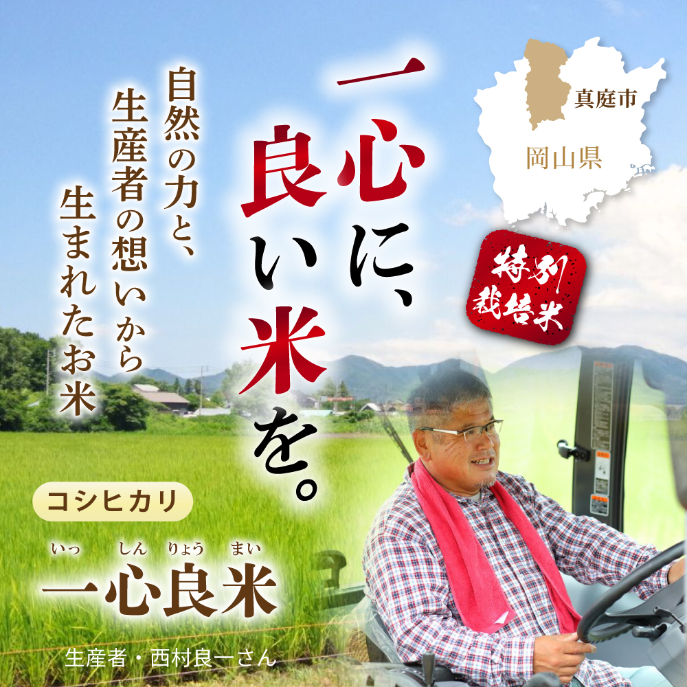 一心良米