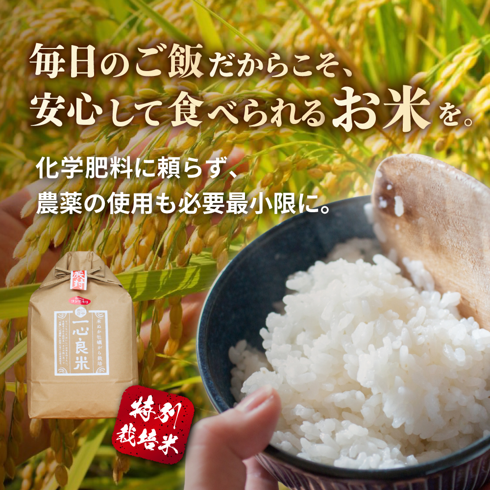 一心良米