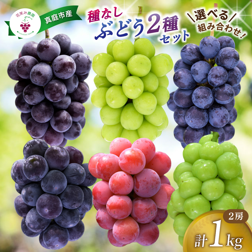 【2026年先行予約】選べる組み合わせ2種 1kg 種無しぶどう 食べ比べセット｜ ぶどう 葡萄 果物 岡山県産 種なし ぶどう シャインマスカット 食品 先行予約 ぶどう フルーツ 果物 ぶどう 葡萄 詰め合わせ