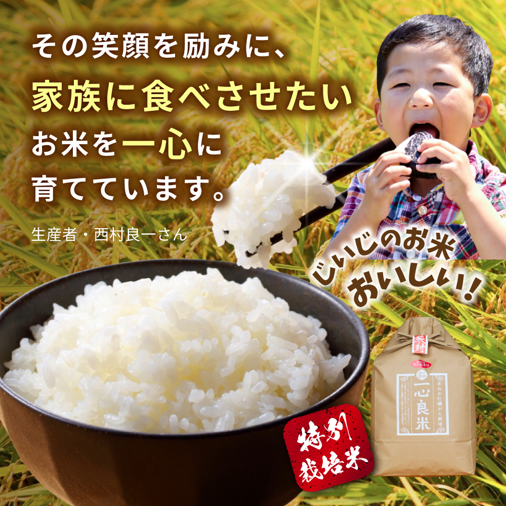 【令和8年産】米 超低農薬 岡山県産 コシヒカリ(白米) 特別栽培米「一心良米」 5kg~30kg 定期便 / お米 米 新米 低農薬 減農薬 特別栽培 人気 2026年産