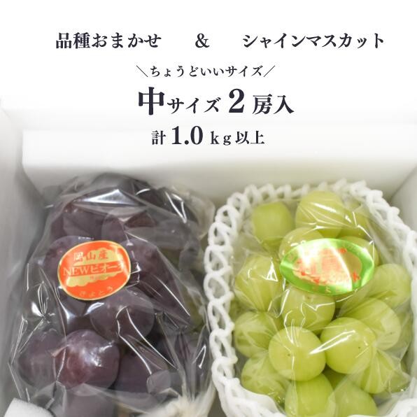 シャインマスカット&生産者いちおし葡萄 2房入/計1.0kg～(岡山県産) 【KF-B010-04】