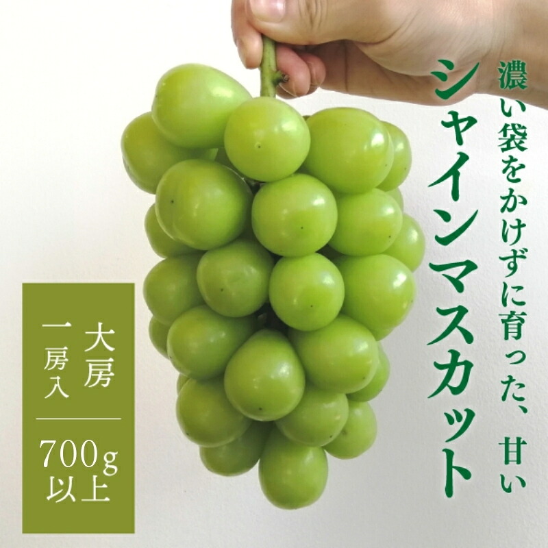 【2026年先行予約9月発送開始】特大シャインマスカット 大粒厳選品1房 /700g以上 | シャインマスカット