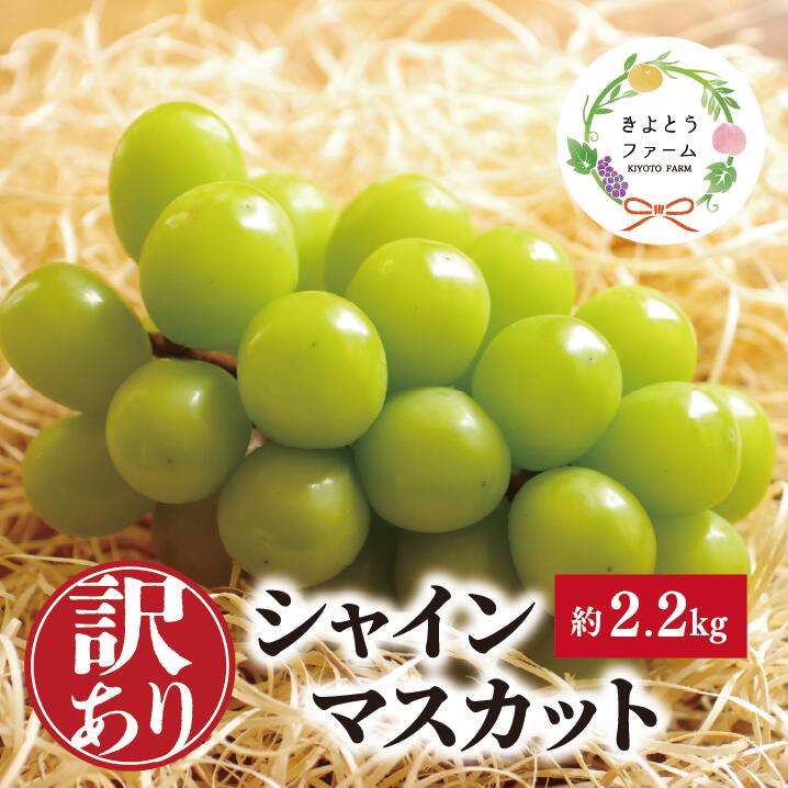 【訳あり】シャインマスカット ご家庭用/約2.2kg (岡山県産)【KF-B015-04】