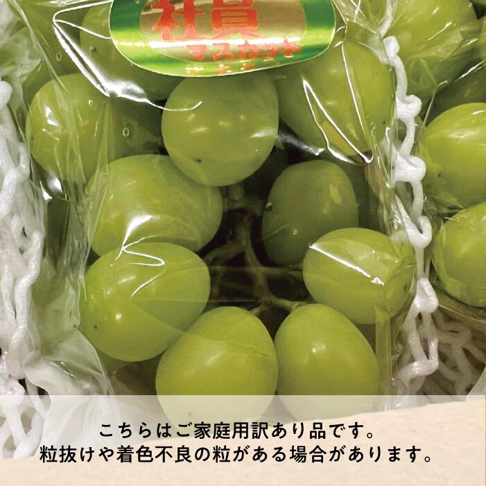 【訳あり】シャインマスカット ご家庭用/約2.2kg (岡山県産)【KF-B015-04】