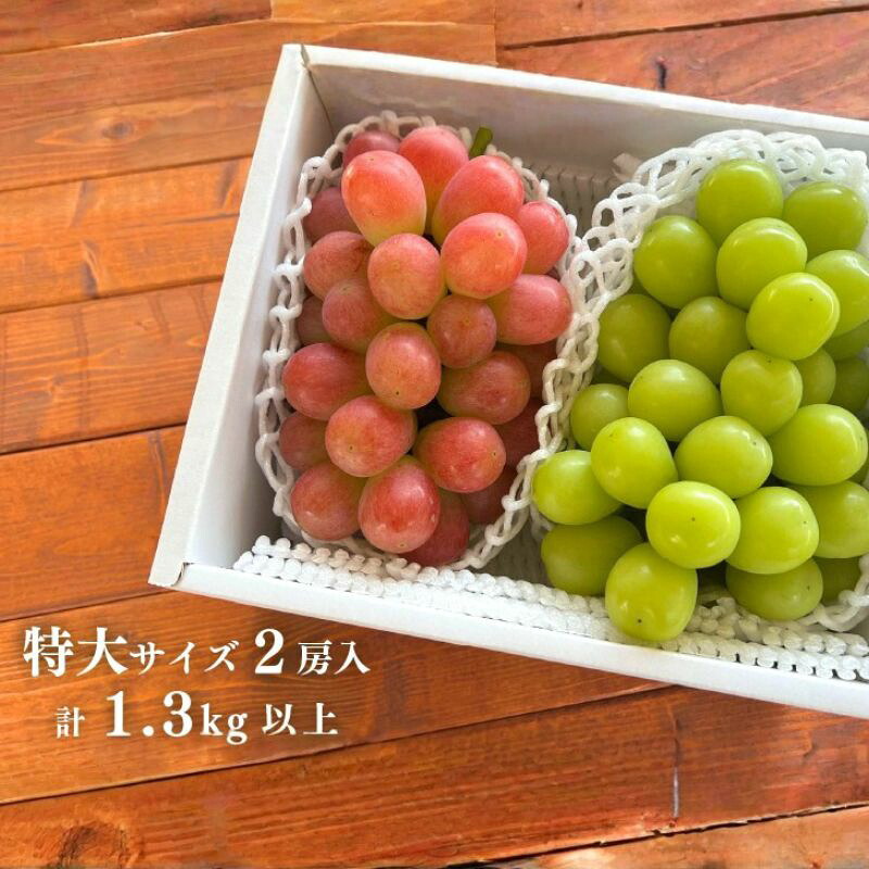 シャインマスカット&おまかせぶどう 特大2房入/計1.3kg～ 【KF-B022-02】