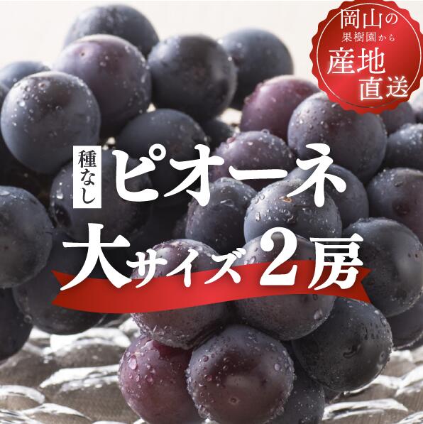 【2026年先行予約】岡山県産特大ピオーネ 種なし 2房入 計1.3kg以上 ご家庭用 ｜ピオーネ 岡山ピオーネ ピオーネ ぴおーね ぶどう 葡萄 ブドウ 果物 フルーツ 種無し 産地直送 農家直送