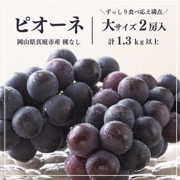 【2026年先行予約】岡山県産特大ピオーネ 種なし 2房入 計1.3kg以上 ご家庭用 ｜ピオーネ 岡山ピオーネ ピオーネ ぴおーね ぶどう 葡萄 ブドウ 果物 フルーツ 種無し 産地直送 農家直送