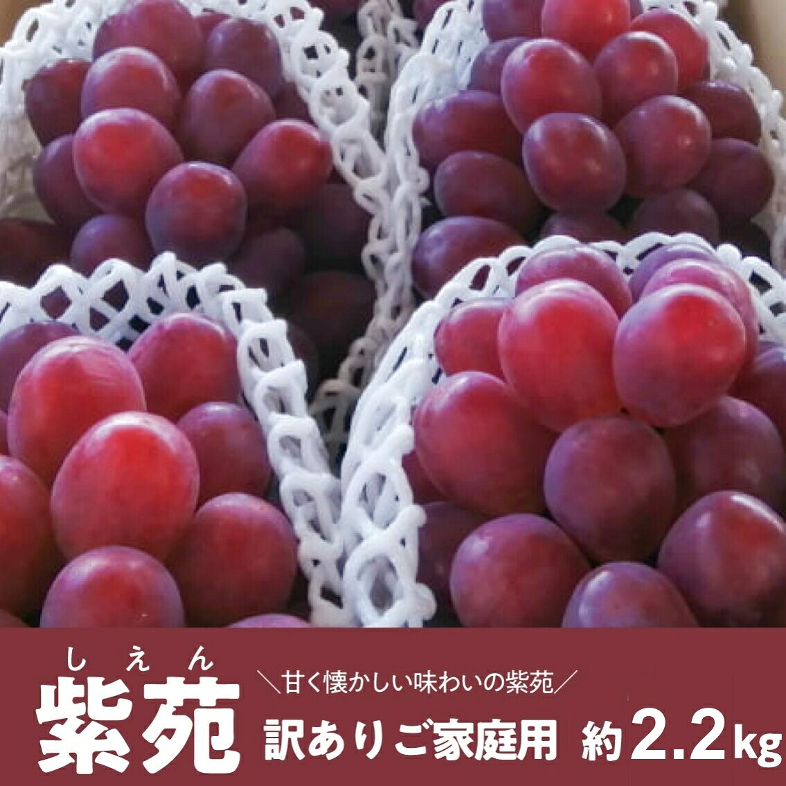 【2026年先行予約】訳ありご家庭用 紫苑(しえん)/ 約2.2kg (岡山県産)  【KF-B085-03】