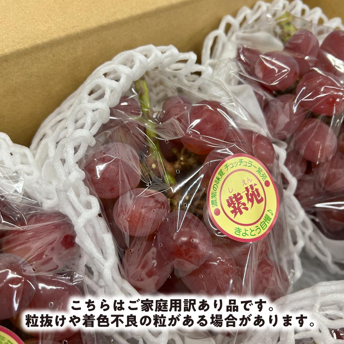 【2026年先行予約】訳ありご家庭用 紫苑(しえん)/ 約2.2kg (岡山県産) 【KF-B085-03】