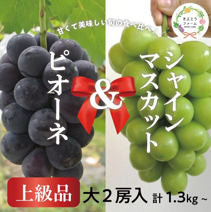 岡山県産ピオーネ＆シャインマスカット 上級品 特大2房 /計1.3kg～ ｜ シャインマスカット ピオーネ しゃいんますかっと ピオーネ シャインマスカット 果物 フルーツ マスカット ぴおーね ます
