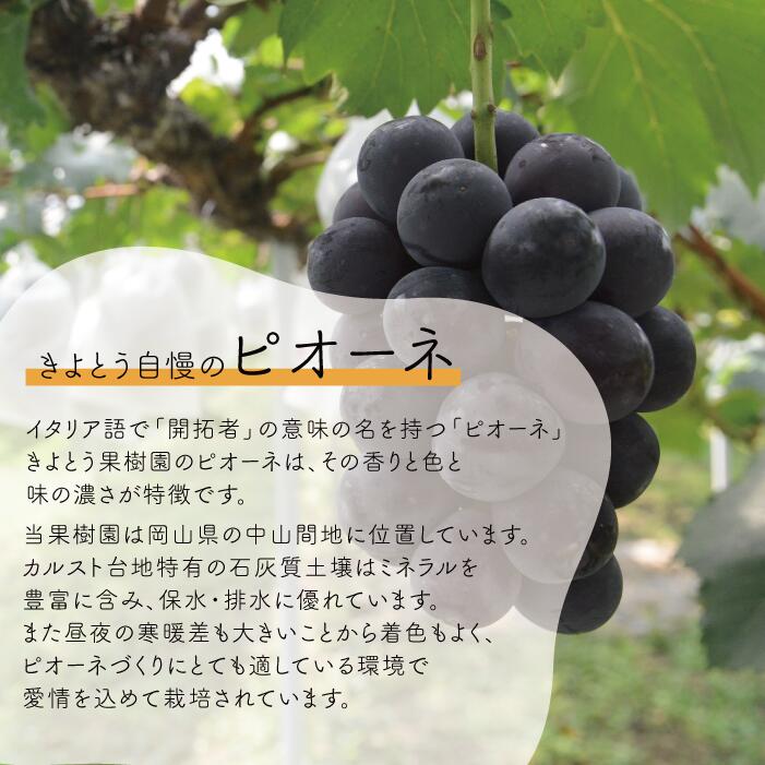 岡山県産ピオーネ＆シャインマスカット 上級品 特大2房 /計1.3kg～ ｜ シャインマスカット ピオーネ しゃいんますかっと ピオーネ シャインマスカット 果物 フルーツ マスカット ぴおーね ます