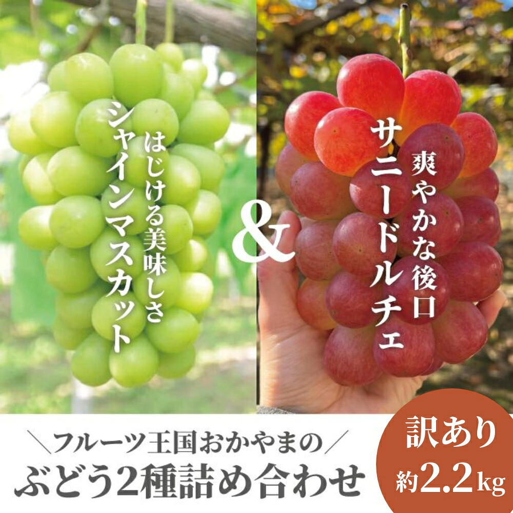 ぶどう 食べ比べ シャインマスカット＆サニードルチェ/約2.2kg 訳あり 岡山県産【2026年先行予約】 ｜ぶどう 葡萄 詰め合わせ 詰合せ 食べ比べ 果物 くだもの フルーツ 産地直送 きよとうフ