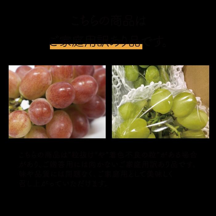 ぶどう 食べ比べ シャインマスカット＆サニードルチェ/約2.2kg 訳あり 岡山県産【2026年先行予約】 ｜ぶどう 葡萄 詰め合わせ 詰合せ 食べ比べ 果物 くだもの フルーツ 産地直送 きよとうフ