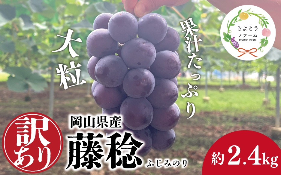 【訳あり】 ボッケーネ(藤稔) 約2.4kg 種なし (岡山県産) /  岡山 真庭 ピオーネ 高級 2.4kg 真庭市 大粒 葡萄 果物 フルーツ 濃厚 人気 数量限定【KF-B090-02】