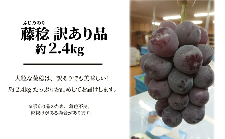 【訳あり】 ボッケーネ(藤稔) 約2.4kg 種なし (岡山県産) /  岡山 真庭 ピオーネ 高級 2.4kg 真庭市 大粒 葡萄 果物 フルーツ 濃厚 人気 数量限定【KF-B090-02】