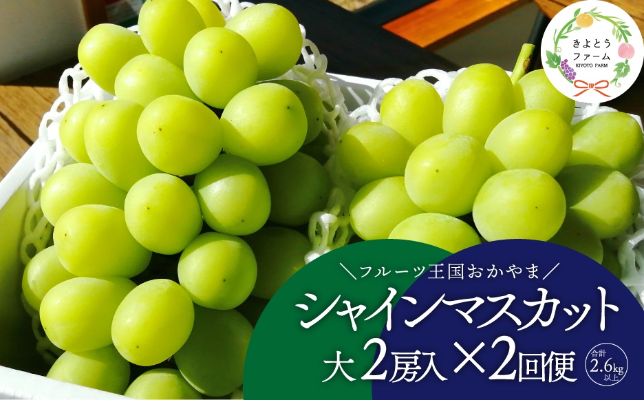 岡山のシャインマスカットを楽しむ満足2回便！特大２房×２回/全便計2.6kg～ (定期便)(岡山県産)　｜ ぶどう 葡萄 果物 岡山県産 送料無料 ギフト 種なし スイーツ 葡萄 ぶどう 産地直送 農